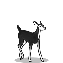 一手渠道的{固定网站名称23}