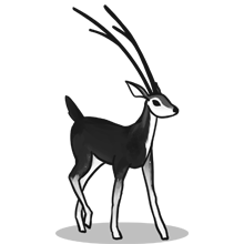 ddos攻击在哪能买到